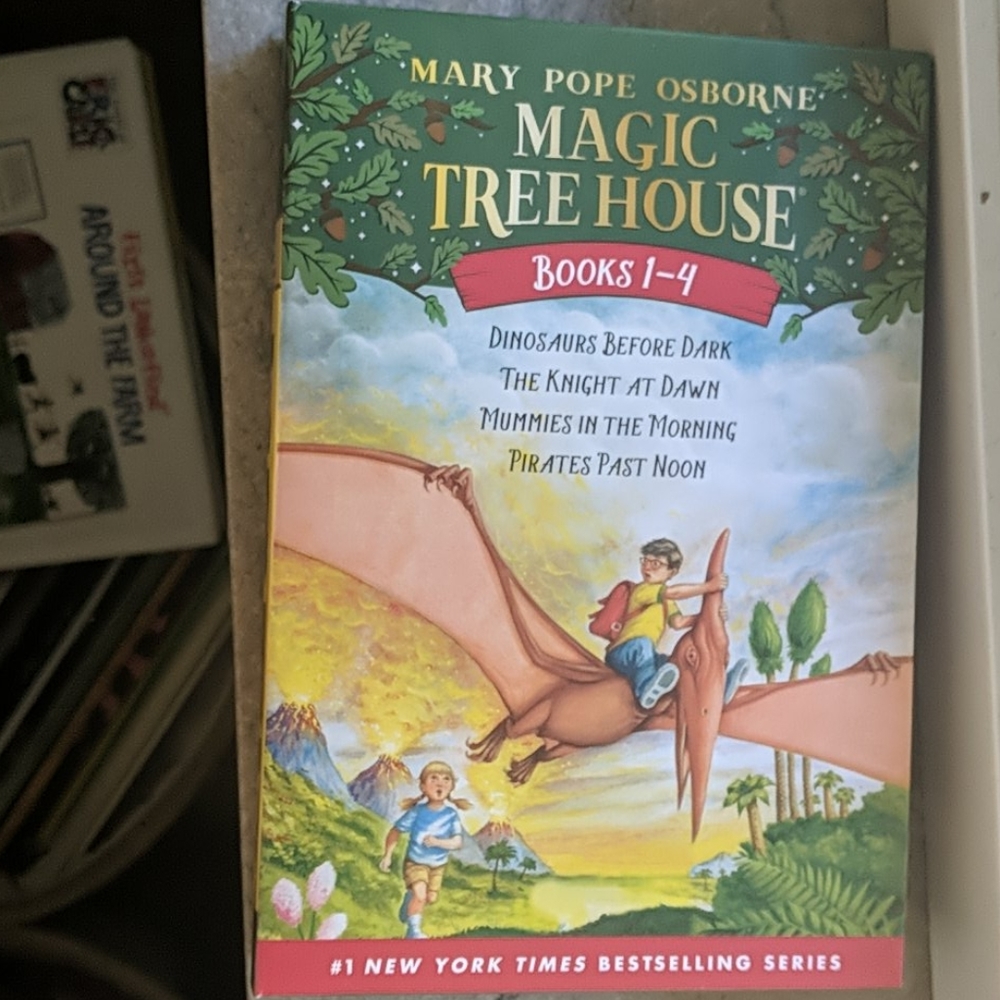 New Magic Tree House #1-4 Box Set